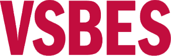 vnvsbes.com Logo